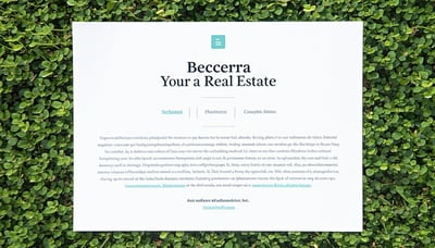 Newsletter signup illustration for Becerra Real Estate